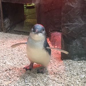 Meet your Posher, Angelica